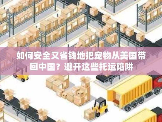 如何安全又省钱地把宠物从美国带回中国？避开这些托运陷阱