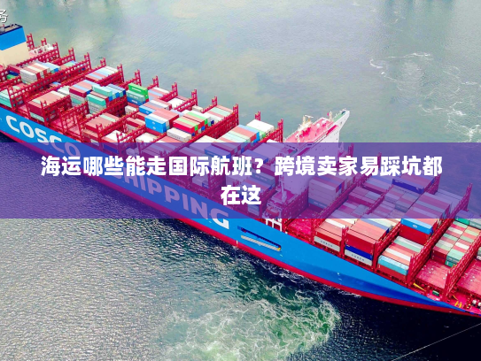 海运哪些能走国际航班?跨境卖家易踩坑都在这 海运哪些能走国际航班?跨境卖家易踩坑都在这