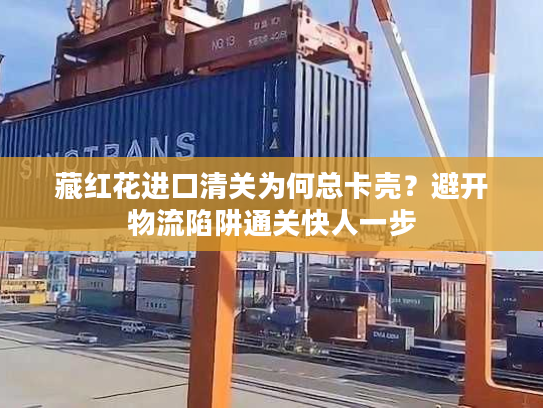 藏红花进口清关为何总卡壳？避开物流陷阱通关快人一步