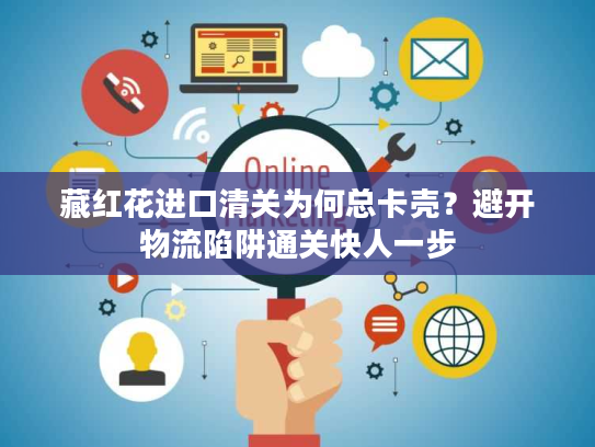 藏红花进口清关为何总卡壳？避开物流陷阱通关快人一步