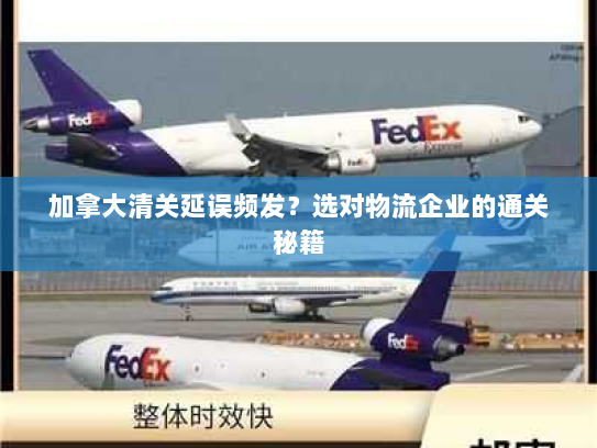 加拿大清关延误频发?选对物流企业的通关秘籍 加拿大清关延误频发?选对物流企业的通关秘籍