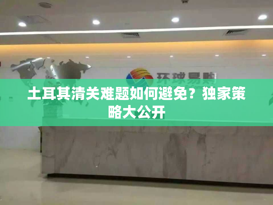 土耳其清关难题如何避免？独家策略大公开