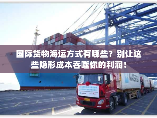 国际货物海运方式有哪些？别让这些隐形成本吞噬你的利润！