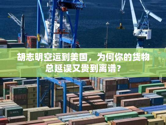 胡志明空运到美国，为何你的货物总延误又贵到离谱？