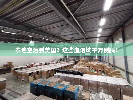 泰迪空运到美国?这些血泪坑千万别踩! 泰迪空运到美国?这些血泪坑千万别踩!