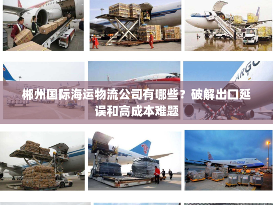 郴州国际海运物流公司有哪些?破解出口延误和高成本难题 郴州国际海运物流公司有哪些?破解出口延误和高成本难题