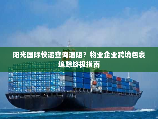 阳光国际快递查询遇阻？物业企业跨境包裹追踪终极指南