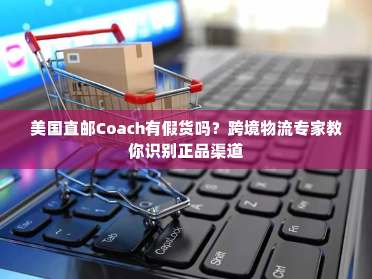 美国直邮Coach有假货吗?跨境物流专家教你识别正品渠道 美国直邮Coach有假货吗?跨境物流专家教你识别正品渠道