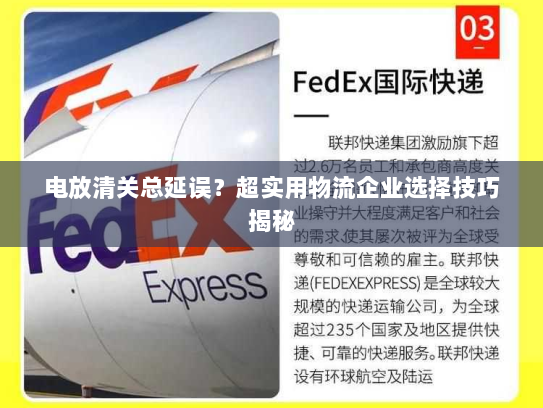 电放清关总延误？超实用物流企业选择技巧揭秘