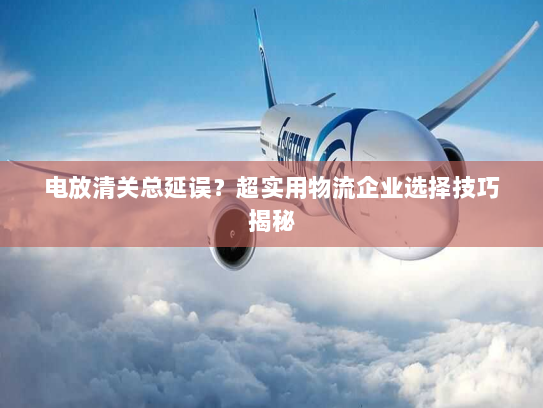 电放清关总延误？超实用物流企业选择技巧揭秘