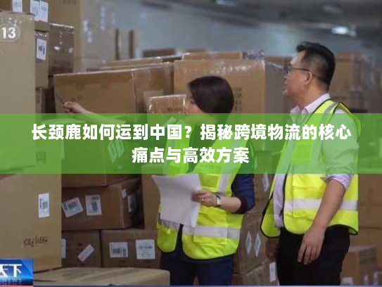 长颈鹿如何运到中国?揭秘跨境物流的核心痛点与高效方案 长颈鹿如何运到中国?揭秘跨境物流的核心痛点与高效方案