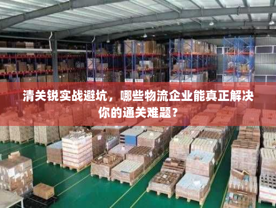 清关锐实战避坑,哪些物流企业能真正解决你的通关难题? 清关锐实战避坑,哪些物流企业能真正解决你的通关难题?