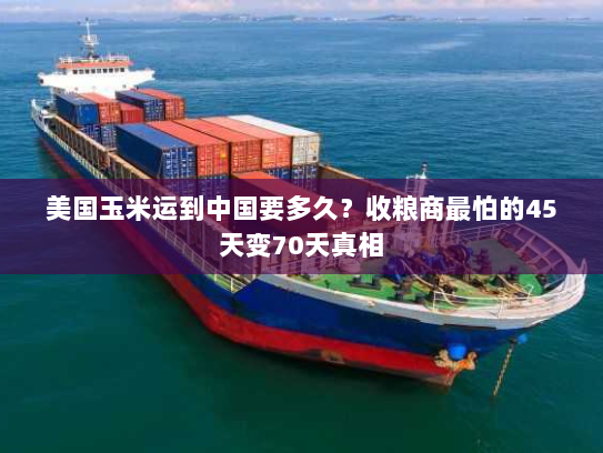 美国玉米运到中国要多久?收粮商最怕的45天变70天真相 美国玉米运到中国要多久?收粮商最怕的45天变70天真相