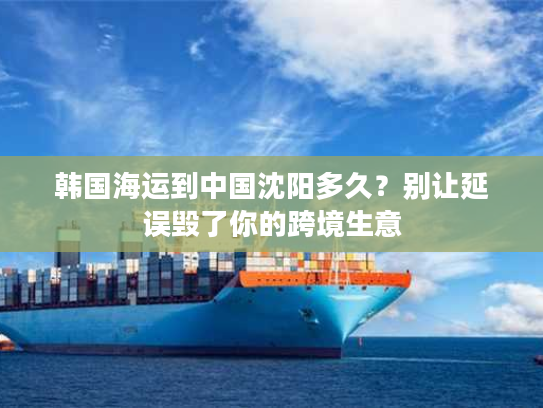 韩国海运到中国沈阳多久?别让延误毁了你的跨境生意 韩国海运到中国沈阳多久?别让延误毁了你的跨境生意