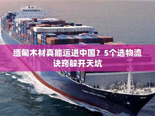 缅甸木材真能运进中国?5个选物流诀窍躲开天坑 缅甸木材真能运进中国?5个选物流诀窍躲开天坑