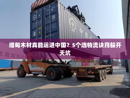 缅甸木材真能运进中国？5个选物流诀窍躲开天坑