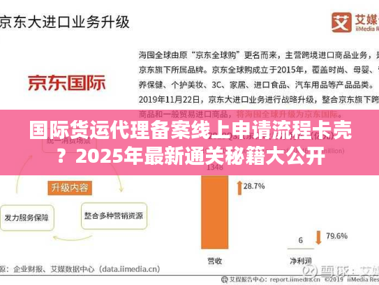 国际货运代理备案线上申请流程卡壳？2025年最新通关秘籍大公开