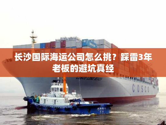 长沙国际海运公司怎么挑？踩雷3年老板的避坑真经