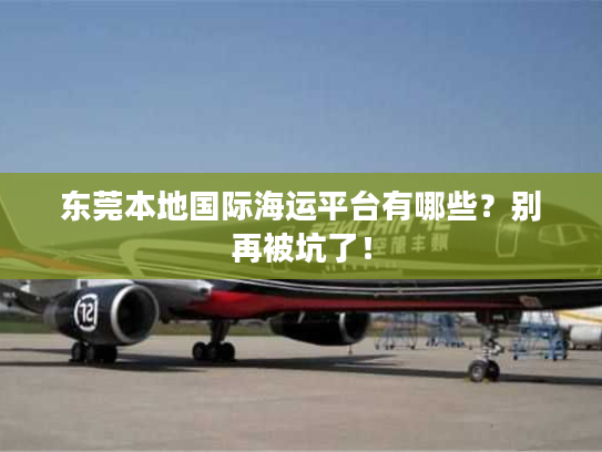 东莞本地国际海运平台有哪些？别再被坑了！