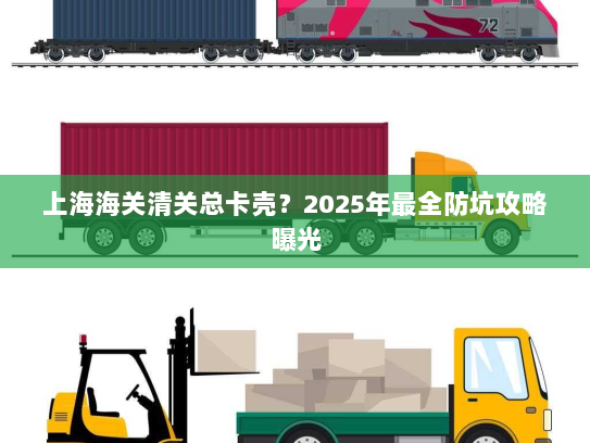 上海海关清关总卡壳？2025年最全防坑攻略曝光