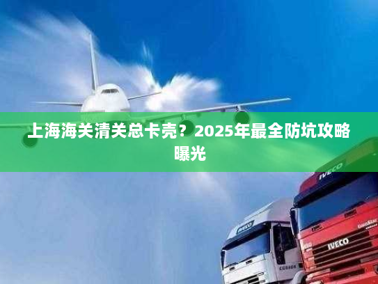 上海海关清关总卡壳？2025年最全防坑攻略曝光