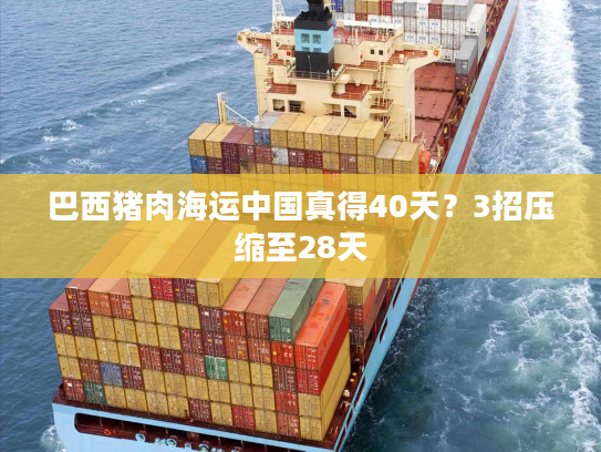 巴西猪肉海运中国真得40天?3招压缩至28天 巴西猪肉海运中国真得40天?3招压缩至28天