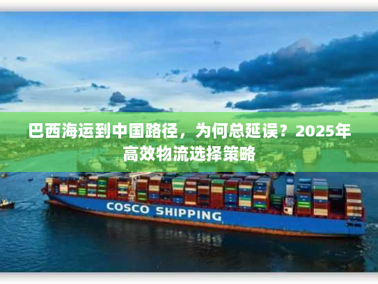 巴西海运到中国路径,为何总延误?2025年高效物流选择策略 巴西海运到中国路径,为何总延误?2025年高效物流选择策略