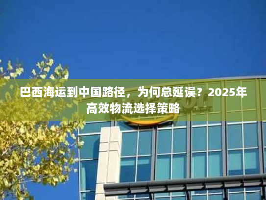 巴西海运到中国路径,为何总延误?2025年高效物流选择策略 巴西海运到中国路径,为何总延误?2025年高效物流选择策略