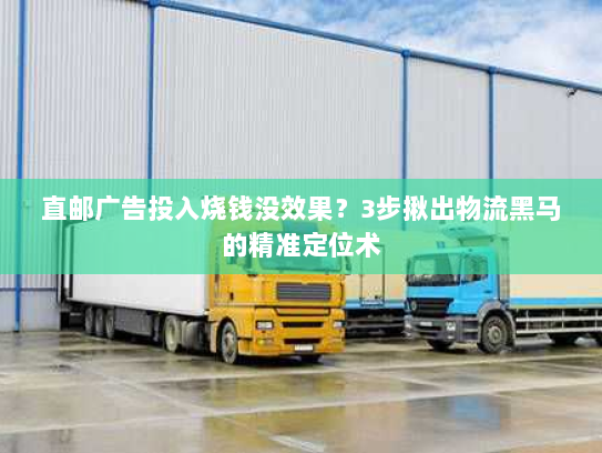 直邮广告投入烧钱没效果？3步揪出物流黑马的精准定位术