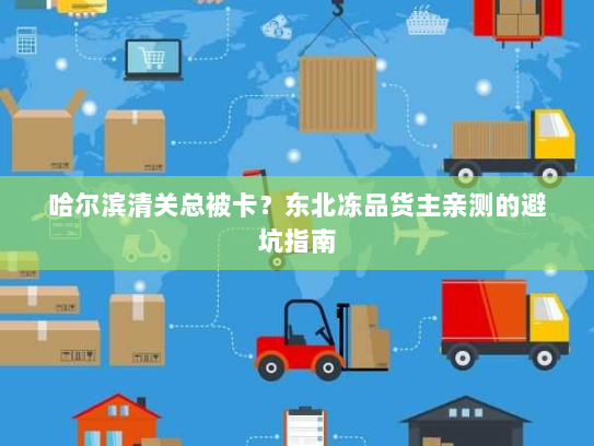 哈尔滨清关总被卡？东北冻品货主亲测的避坑指南