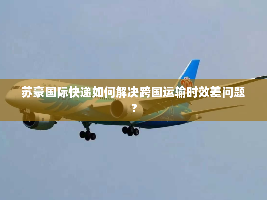 苏豪国际快递如何解决跨国运输时效差问题？