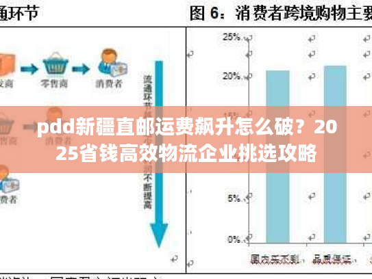pdd新疆直邮运费飙升怎么破？2025省钱高效物流企业挑选攻略