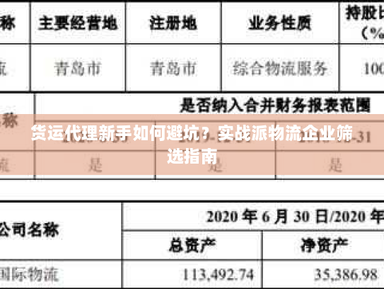 货运代理新手如何避坑?实战派物流企业筛选指南 货运代理新手如何避坑?实战派物流企业筛选指南