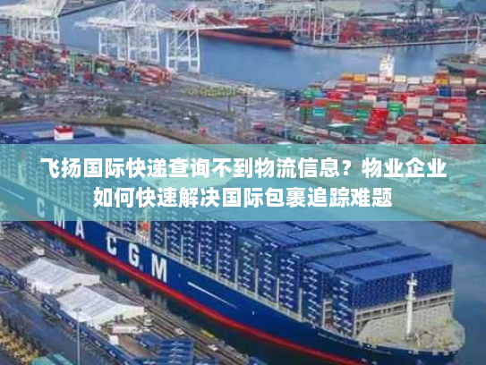 飞扬国际快递查询不到物流信息？物业企业如何快速解决国际包裹追踪难题