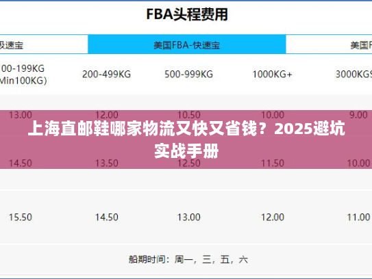 上海直邮鞋哪家物流又快又省钱？2025避坑实战手册
