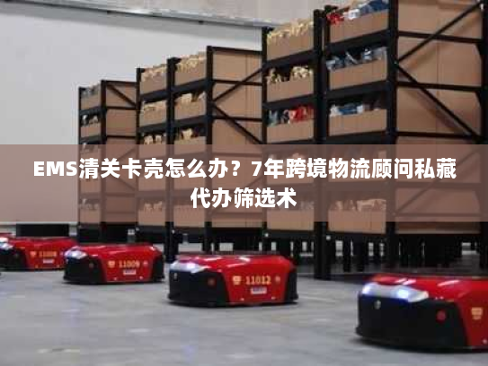 EMS清关卡壳怎么办？7年跨境物流顾问私藏代办筛选术