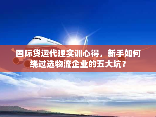 国际货运代理实训心得，新手如何绕过选物流企业的五大坑？