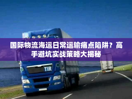 国际物流海运日常运输痛点陷阱?高手避坑实战策略大揭秘 国际物流海运日常运输痛点陷阱?高手避坑实战策略大揭秘