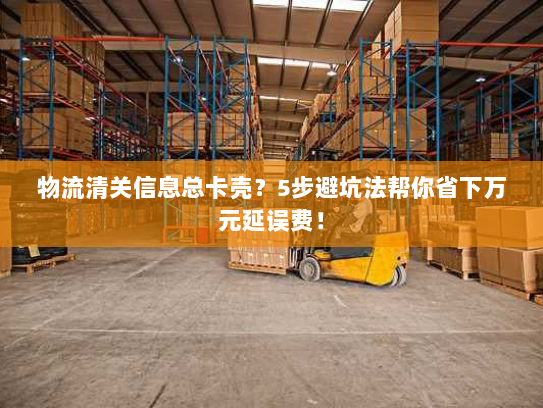 物流清关信息总卡壳？5步避坑法帮你省下万元延误费！