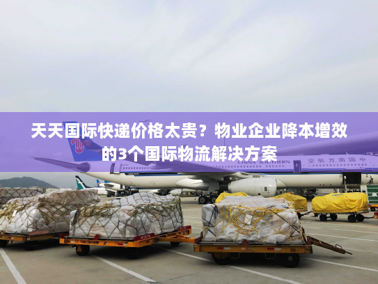 天天国际快递价格太贵？物业企业降本增效的3个国际物流解决方案