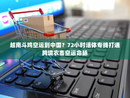 越南斗鸡空运到中国？72小时活体专线打通跨境农畜空运命脉