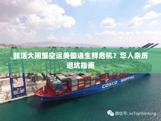 鲜活大闸蟹空运美国遇生鲜危机?华人亲历避坑指南 鲜活大闸蟹空运美国遇生鲜危机?华人亲历避坑指南
