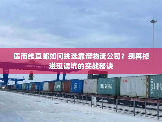 医而维直邮如何挑选靠谱物流公司?别再掉进延误坑的实战秘诀 医而维直邮如何挑选靠谱物流公司?别再掉进延误坑的实战秘诀