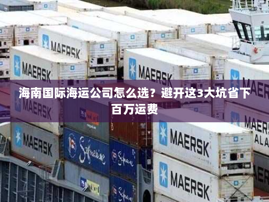 海南国际海运公司怎么选？避开这3大坑省下百万运费