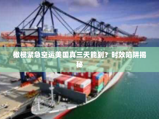 橄榄紧急空运美国真三天能到？时效陷阱揭秘