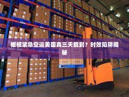 橄榄紧急空运美国真三天能到？时效陷阱揭秘