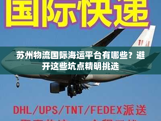 苏州物流国际海运平台有哪些？避开这些坑点精明挑选