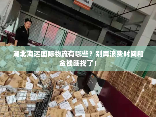 湖北海运国际物流有哪些？别再浪费时间和金钱瞎找了！