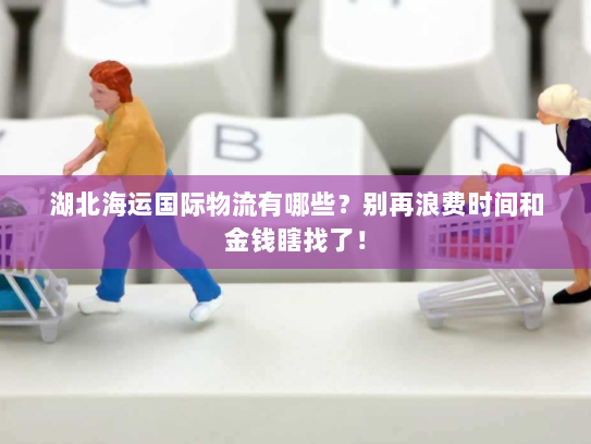 湖北海运国际物流有哪些？别再浪费时间和金钱瞎找了！