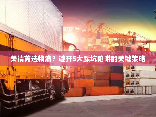 关清芮选物流?避开5大踩坑陷阱的关键策略 关清芮选物流?避开5大踩坑陷阱的关键策略